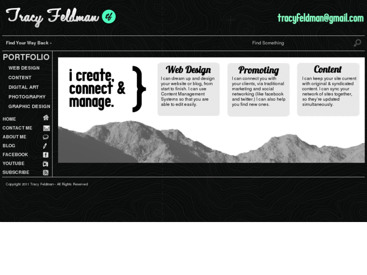 www.tracyfeldman.com