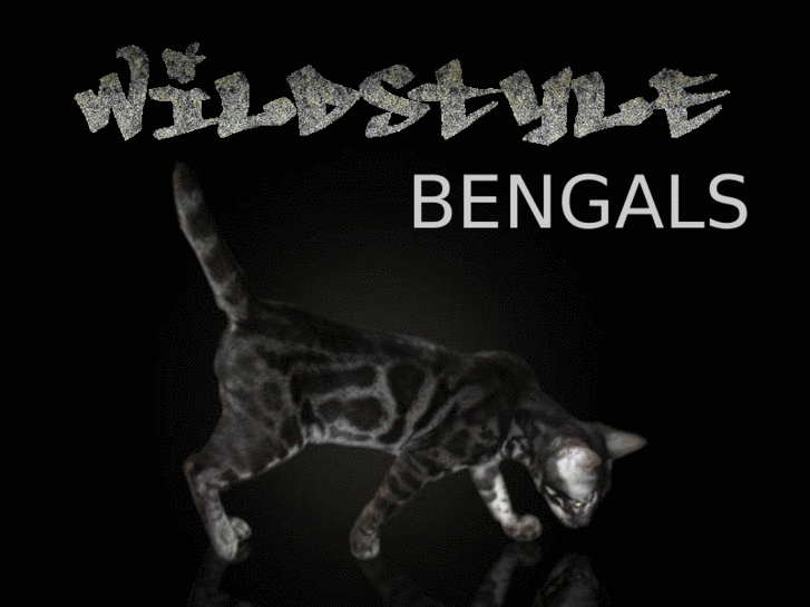 www.charcoalbengals.com