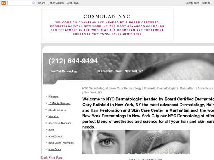 www.cosmelannyc.org