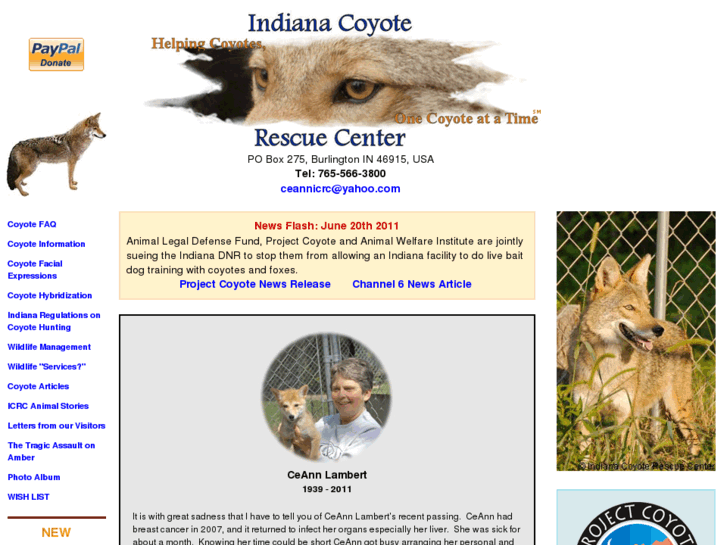 www.coyoterescue.com