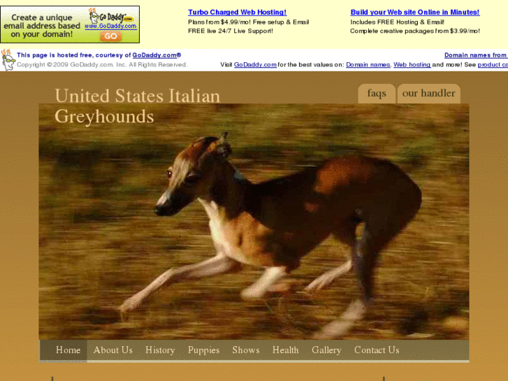 www.italiangreyhound.us