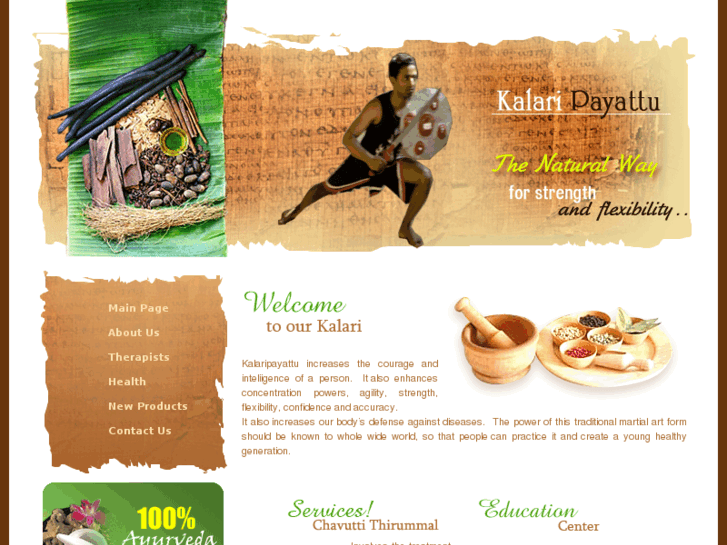 www.kalaripayattu.net