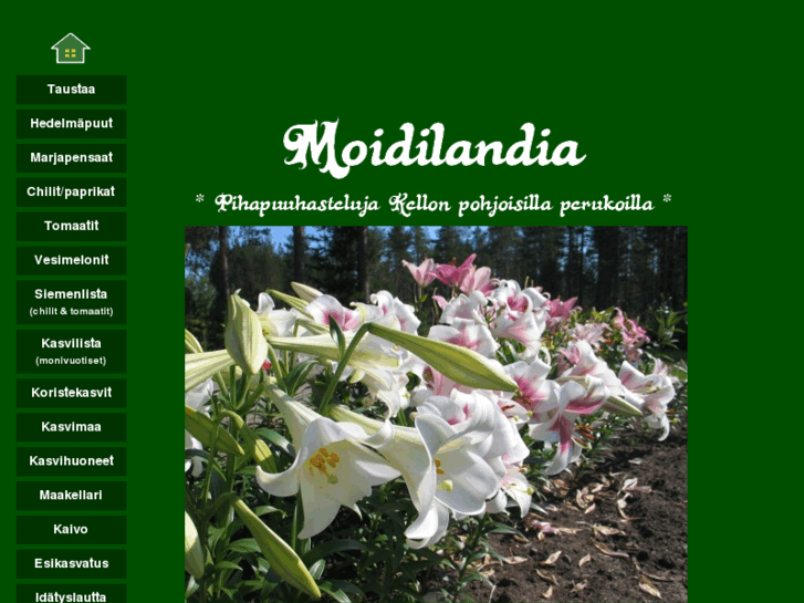 www.moidilandia.com