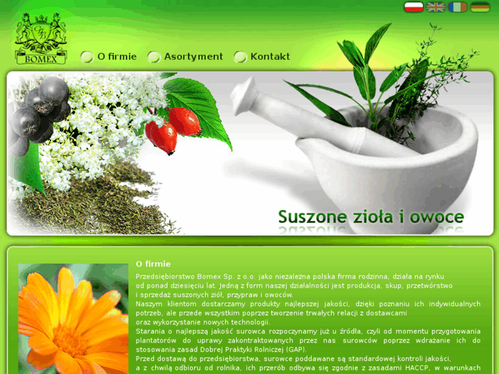 www.teelios.pl