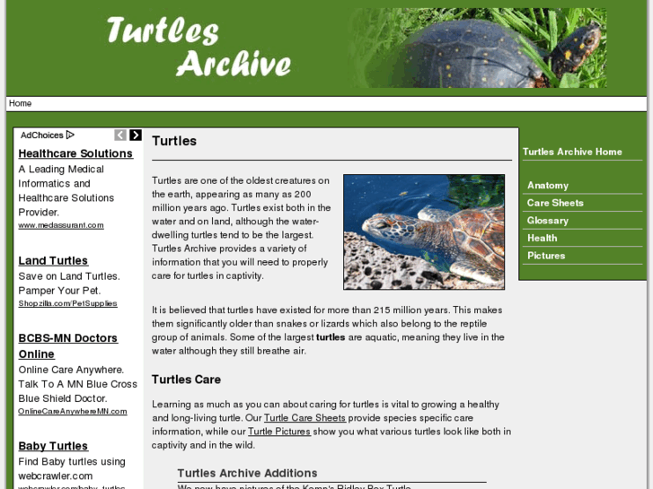 www.turtlesarchive.com