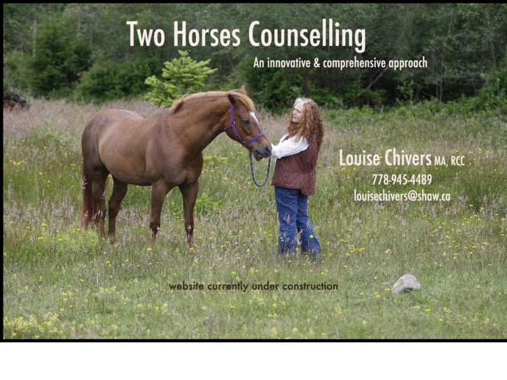 www.twohorsescounselling.com