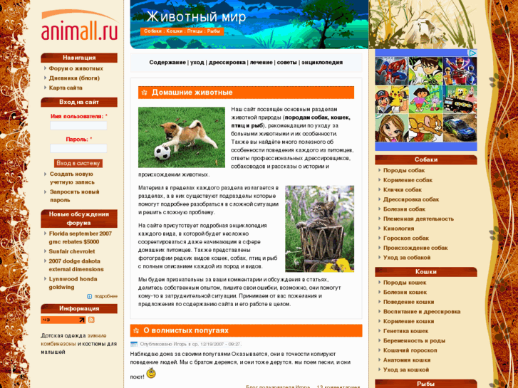 www.animall.ru