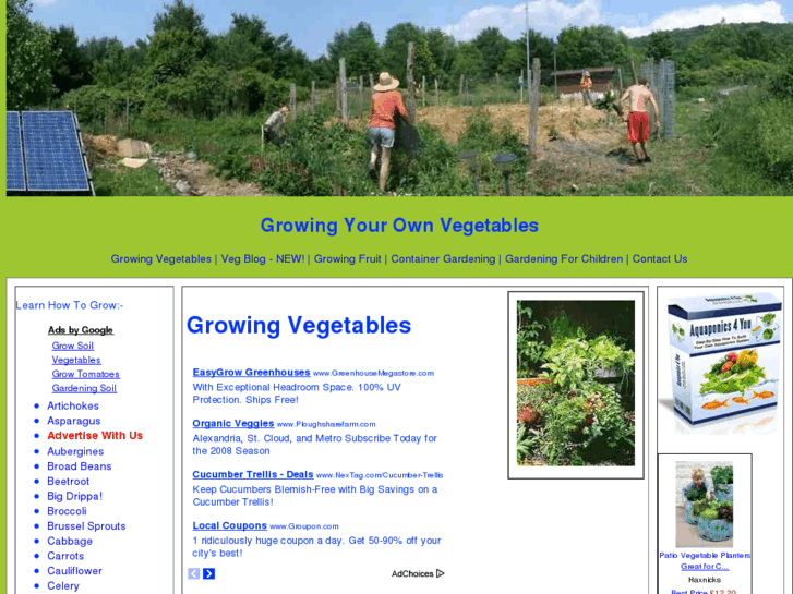 www.gyoveg.com