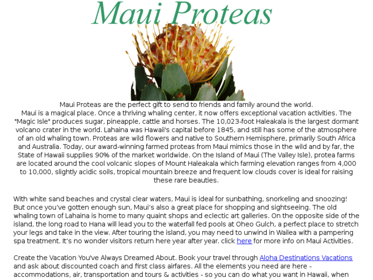 www.maui-proteas.com