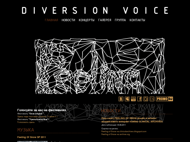 www.diversionvoice.com