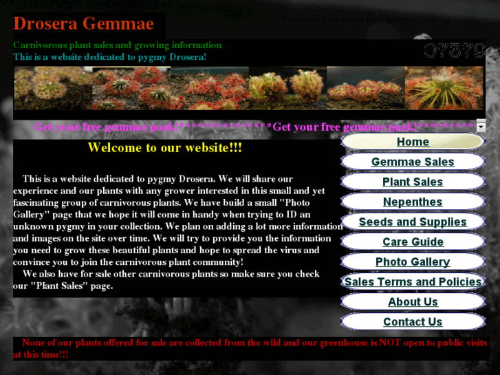 www.droseragemmae.com