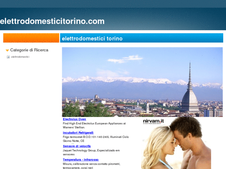 www.elettrodomesticitorino.com