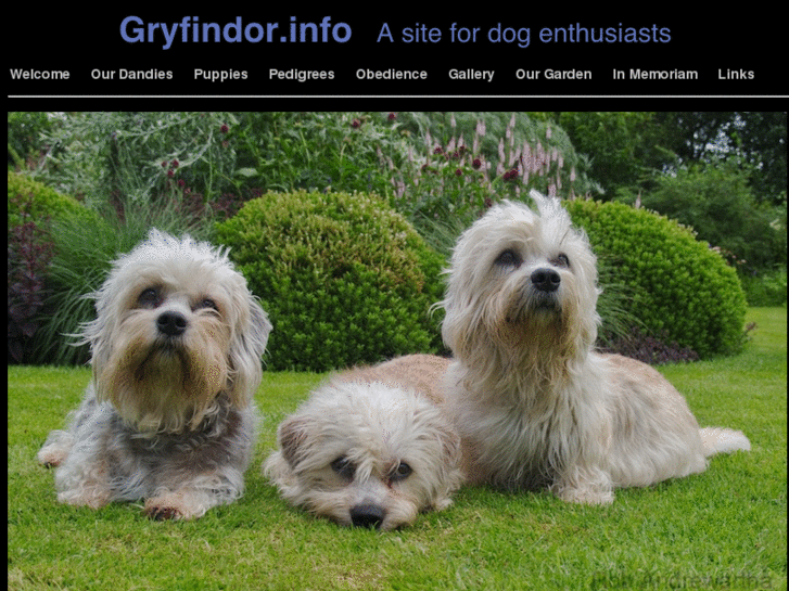 www.gryfindor.info