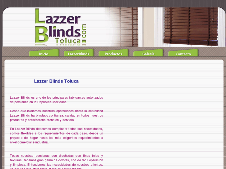 www.lazzerblindstoluca.com