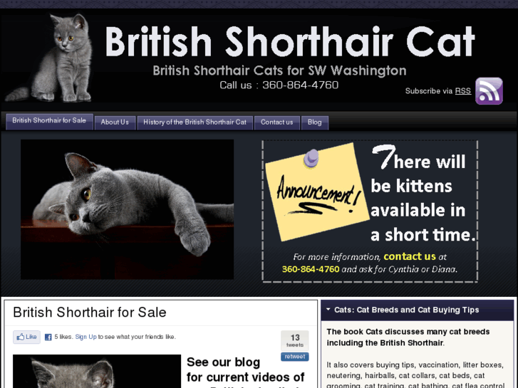 www.british-shorthair-cat.com