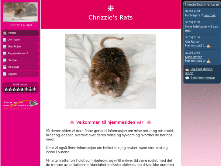 www.chrizziesrats.com