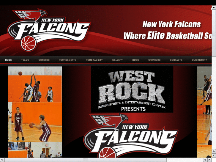 www.newyorkfalcons.com