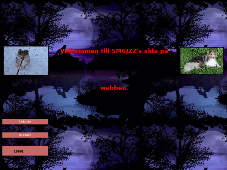 www.sm6jzz.com