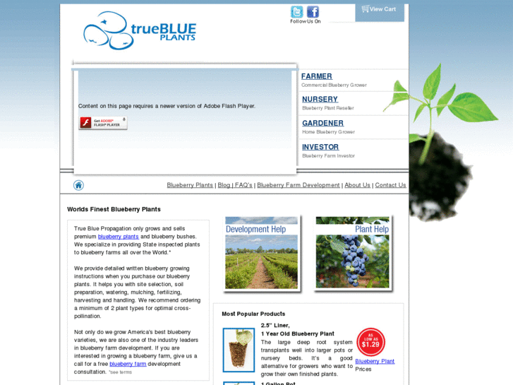 www.trueblueplants.com