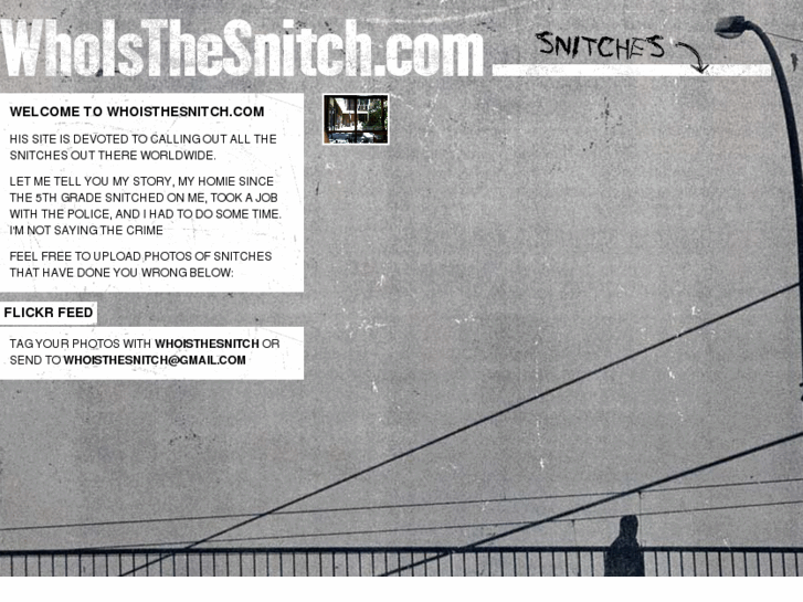 www.whoisthesnitch.com