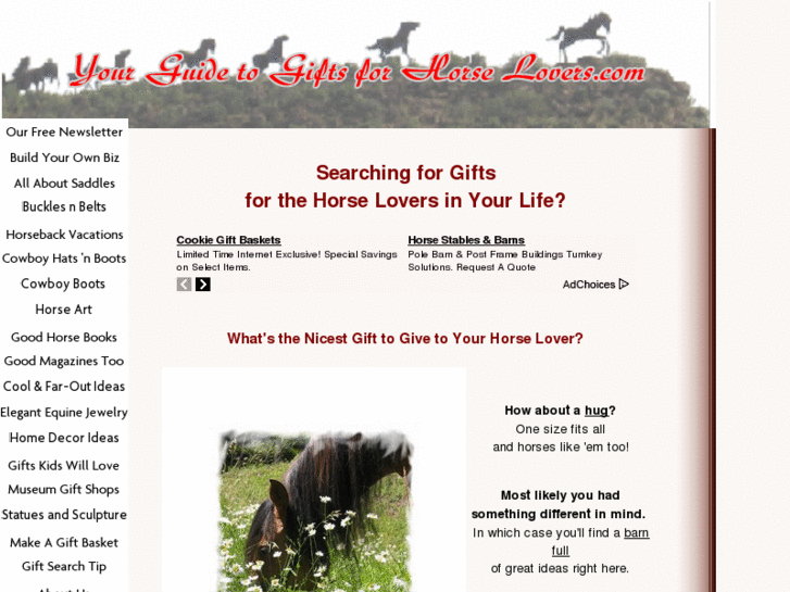 www.your-guide-to-gifts-for-horse-lovers.com