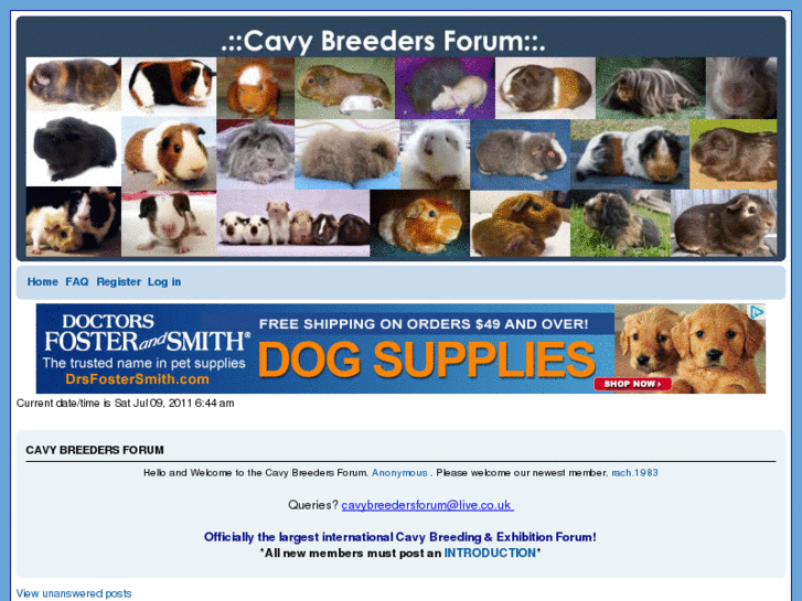 www.cavybreeder.com