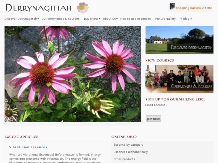 www.derrynagittah.ie