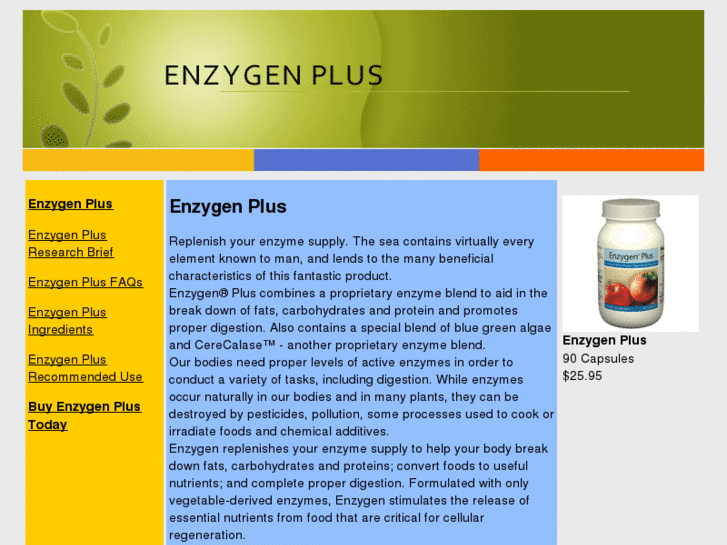 www.enzygen.net