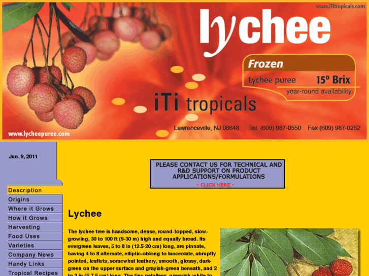 www.lycheepuree.com