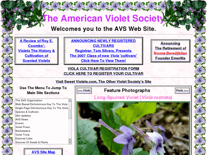 www.americanvioletsociety.org