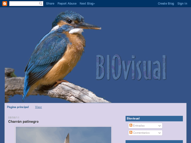 www.biovisual.net