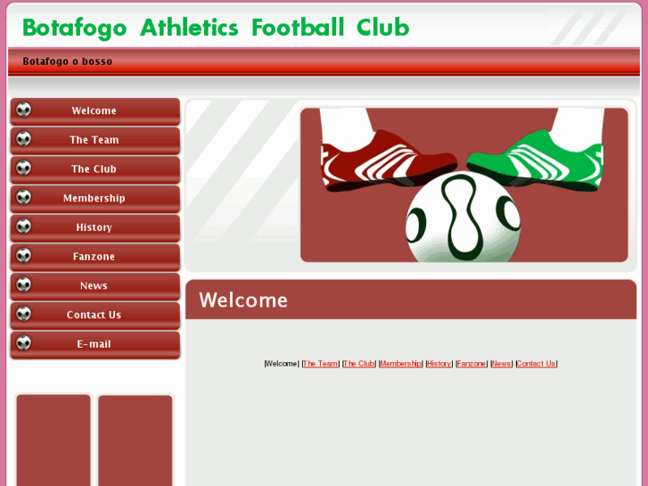 www.botafogofc.com