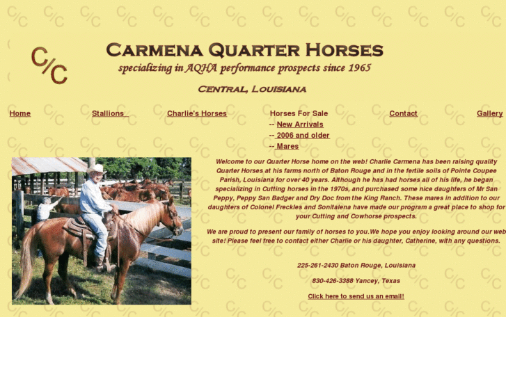 www.carmenaquarterhorses.com