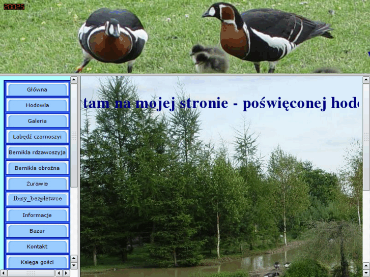www.cygnus.info.pl
