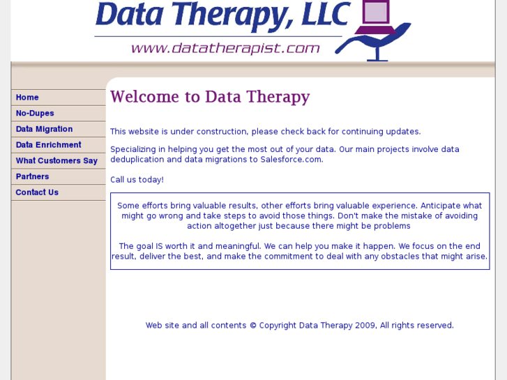 www.datatherapist.com