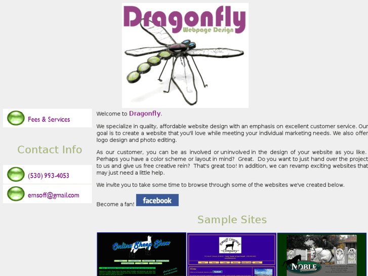 www.dragonflywebpagedesign.com