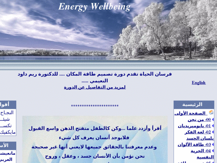 www.energy-wellbeing.com