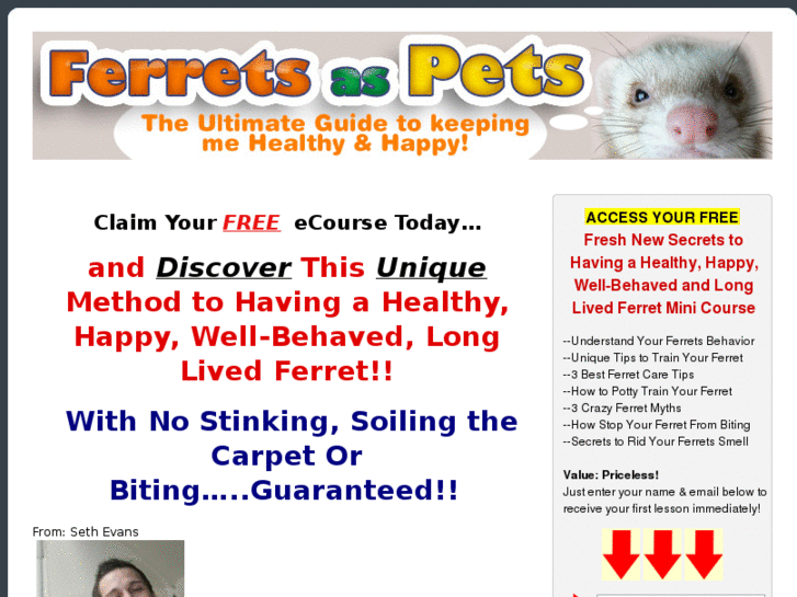 www.ferrets-as-pets.com