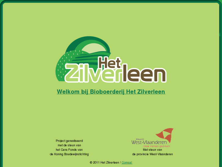 www.hetzilverleen.be