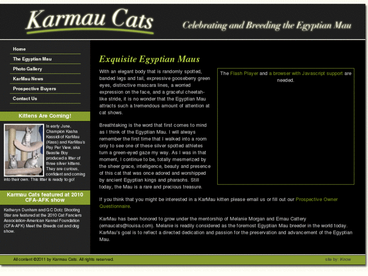 www.karmau-cats.com