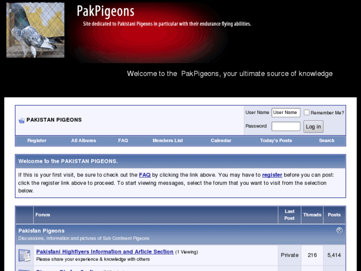 www.pakpigeons.com