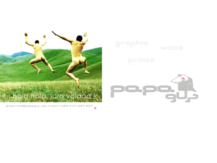 www.papaguy.net