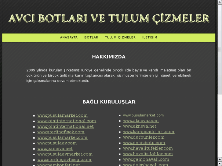 www.tulumcizme.com