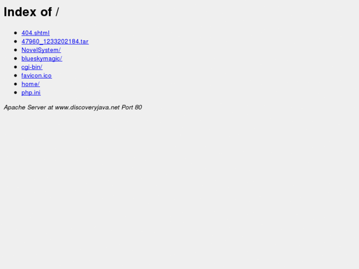 www.discoveryjava.net