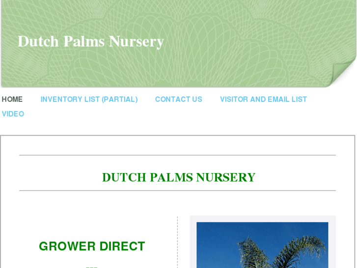 www.dutchpalmsnursery.com