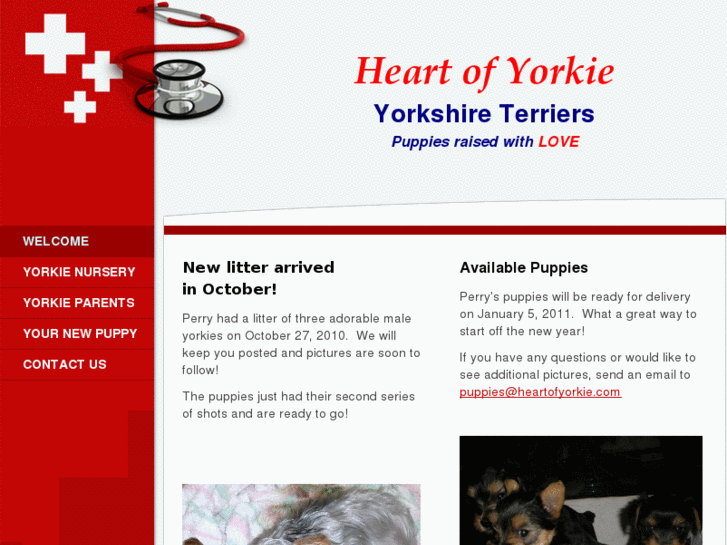 www.heartofyorkie.com