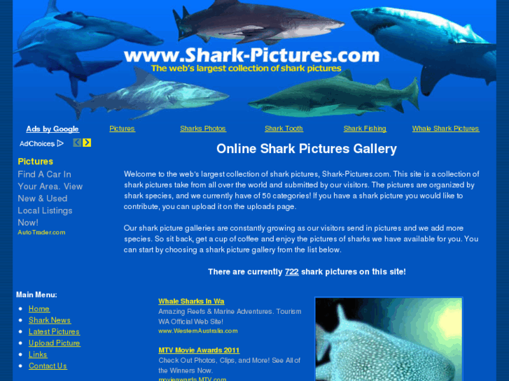 www.shark-pictures.com