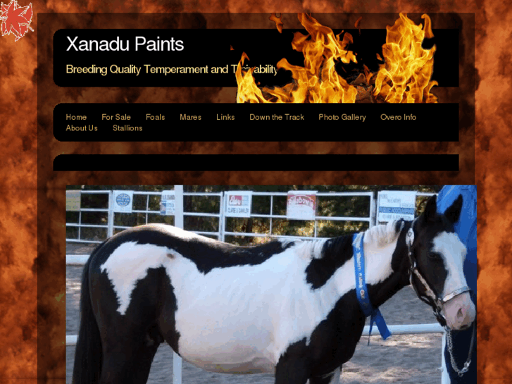 www.xanadupaints.com