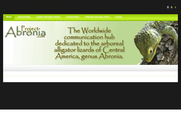 www.abronia.com