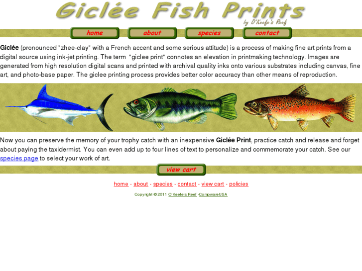 www.gicleefish.com